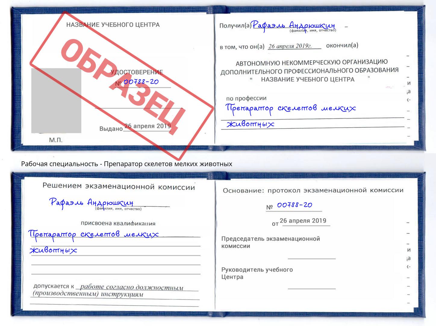 Препаратор скелетов мелких животных Иркутск