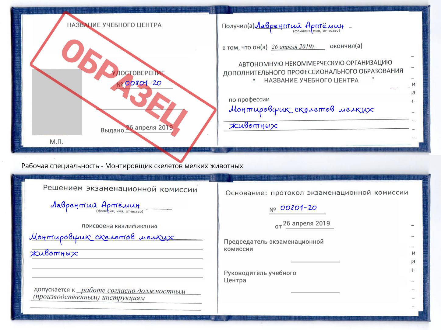 Монтировщик скелетов мелких животных Иркутск