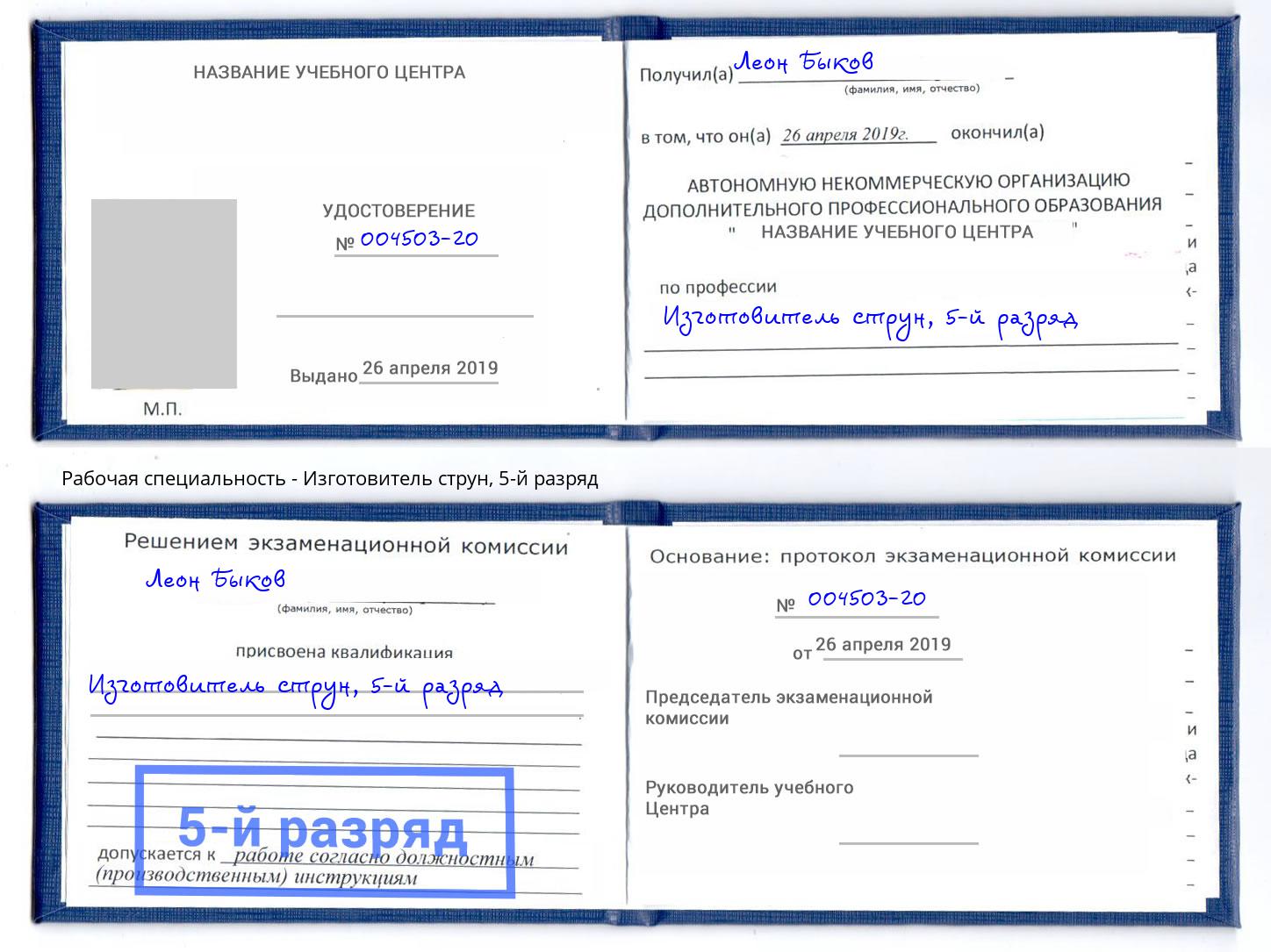 корочка 5-й разряд Изготовитель струн Иркутск